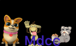 Mdcc studios