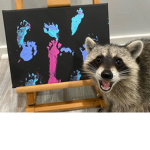 The Raccoon Society