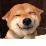 nag i t o ## # a e d a