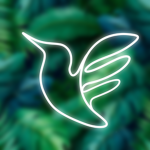 SwiftWay Airline