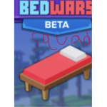 Bedwars pro sqaud