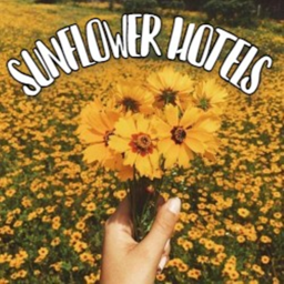 Sunflower Hotel Training Session Hall