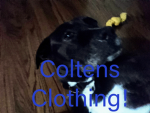Coltens Clothing! Group Thumbnail