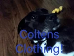 Coltens Clothing! Group Thumbnail