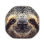 Sloth's clothing!