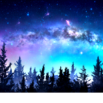 -Silent Night-