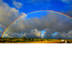 bonbons's Group