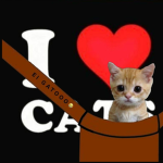 gattoxoyt