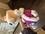 AilyAlex