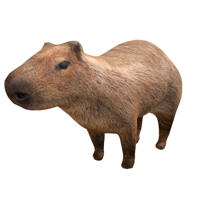Capybara npc