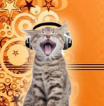 kittycrafters