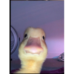 Aaaaaaayyyyy