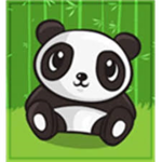 Panda_Team_IQ