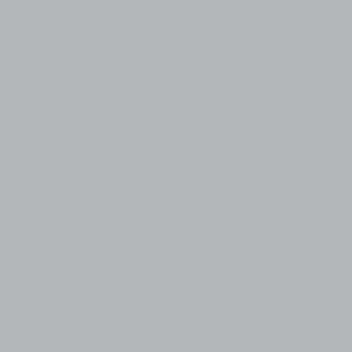 BackDoor: SURFACE