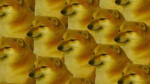 cheems burrito clan