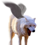 The Winged Wolf Pack