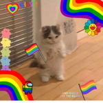 lgbtq+ hideout