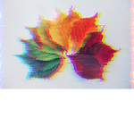 The Leaf Life