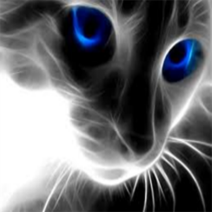 Cat Roblox decal
