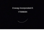 ㄊswag incorporatedㄊ