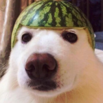 watermelon wearhouse
