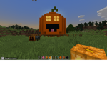 PUMKIN TEAM