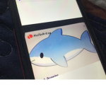 sharks are good pets
