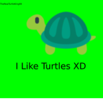 I like turtles xd
