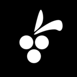 PicBerry's STU