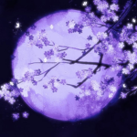 Moon [HG]