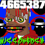 WICCAMERCH
