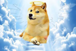 The Friendly DOGES!