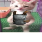 weeww