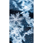 •snowflake army•