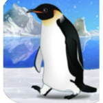 Freedom Penguins
