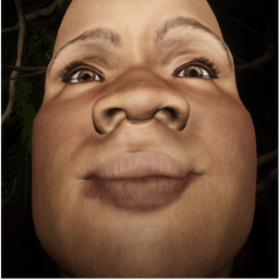 PIGGY AND house killer gun