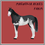 Magnolia Acres Farm