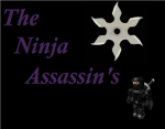 The Ninja Assassin's