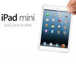 iPad Mini Fans!
