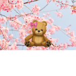 Teddy Group~