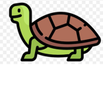 Turtle Team Squad!