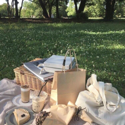 🍄🦋✨