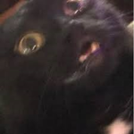 Ultra Piesely