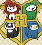 Cats here!!