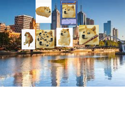 Doge city
