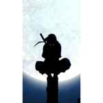 DarkNinja793's fan