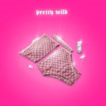 ꨄ Pretty Wild