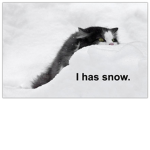 SnowClan ~WarriorCats~