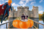 The Kingdom Of Oranges