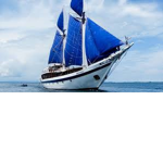 Ultimate Sailors